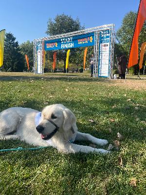 2024 Walk ALS United